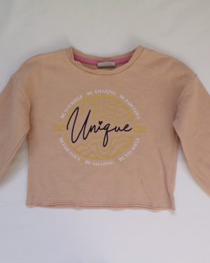 Bluza