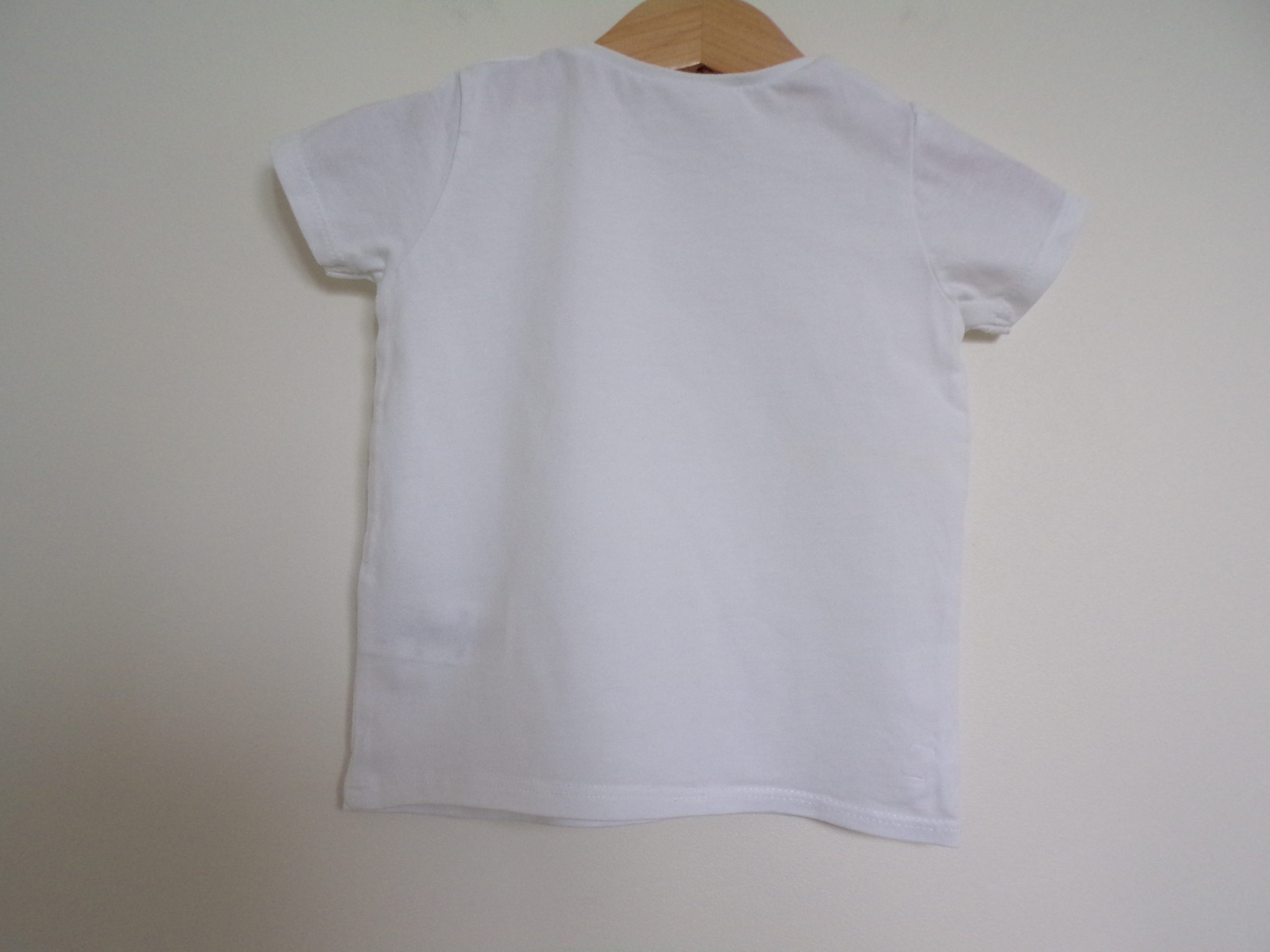 KODAK Digital Still Camera