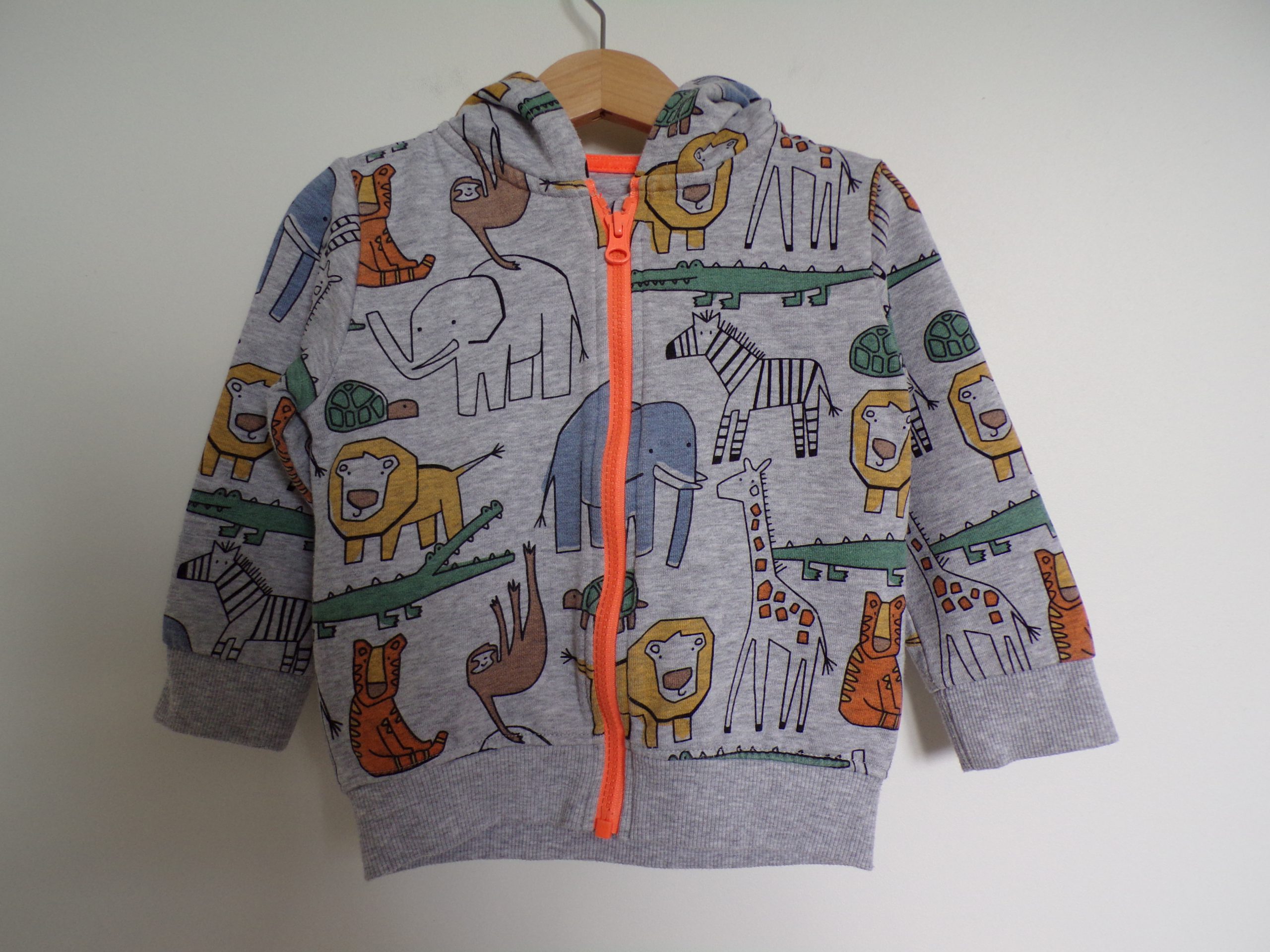 KODAK Digital Still Camera