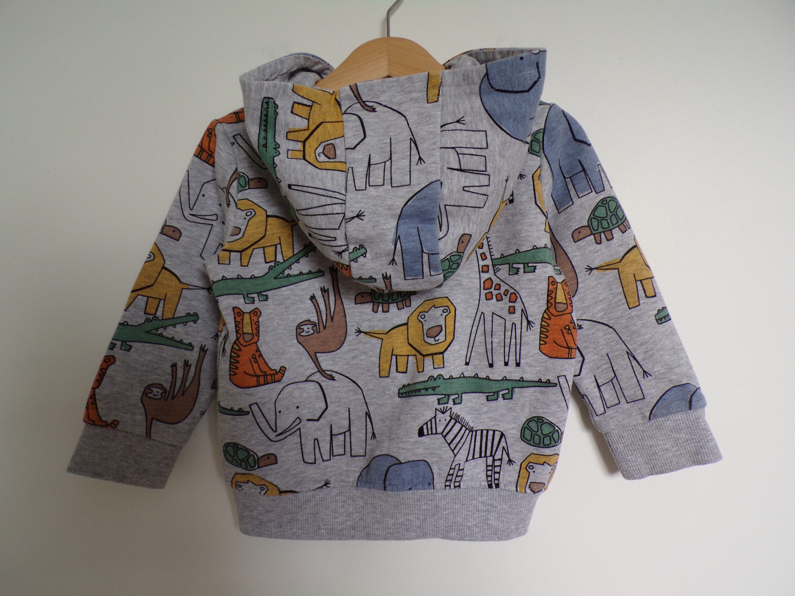 KODAK Digital Still Camera