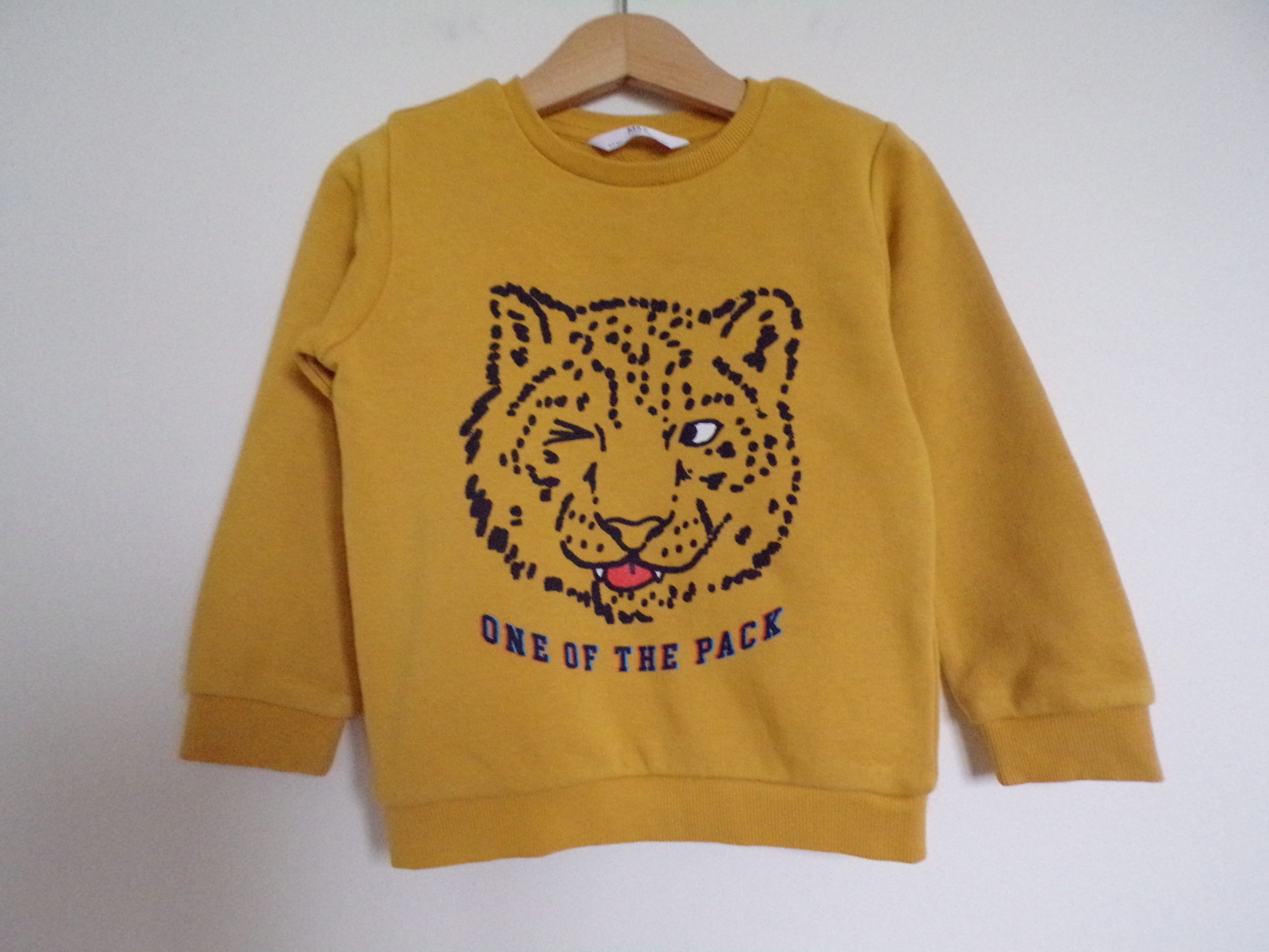 KODAK Digital Still Camera