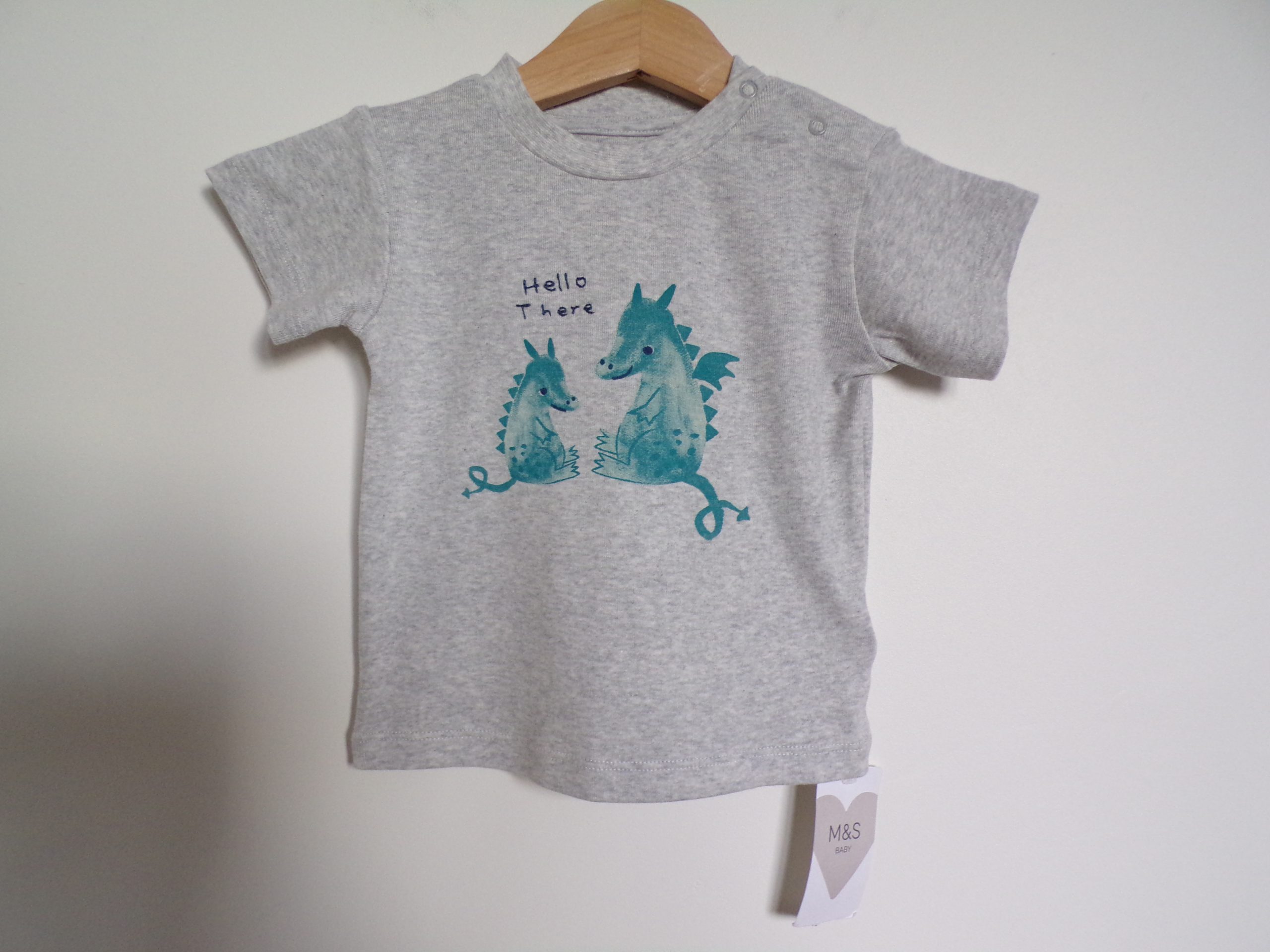 KODAK Digital Still Camera