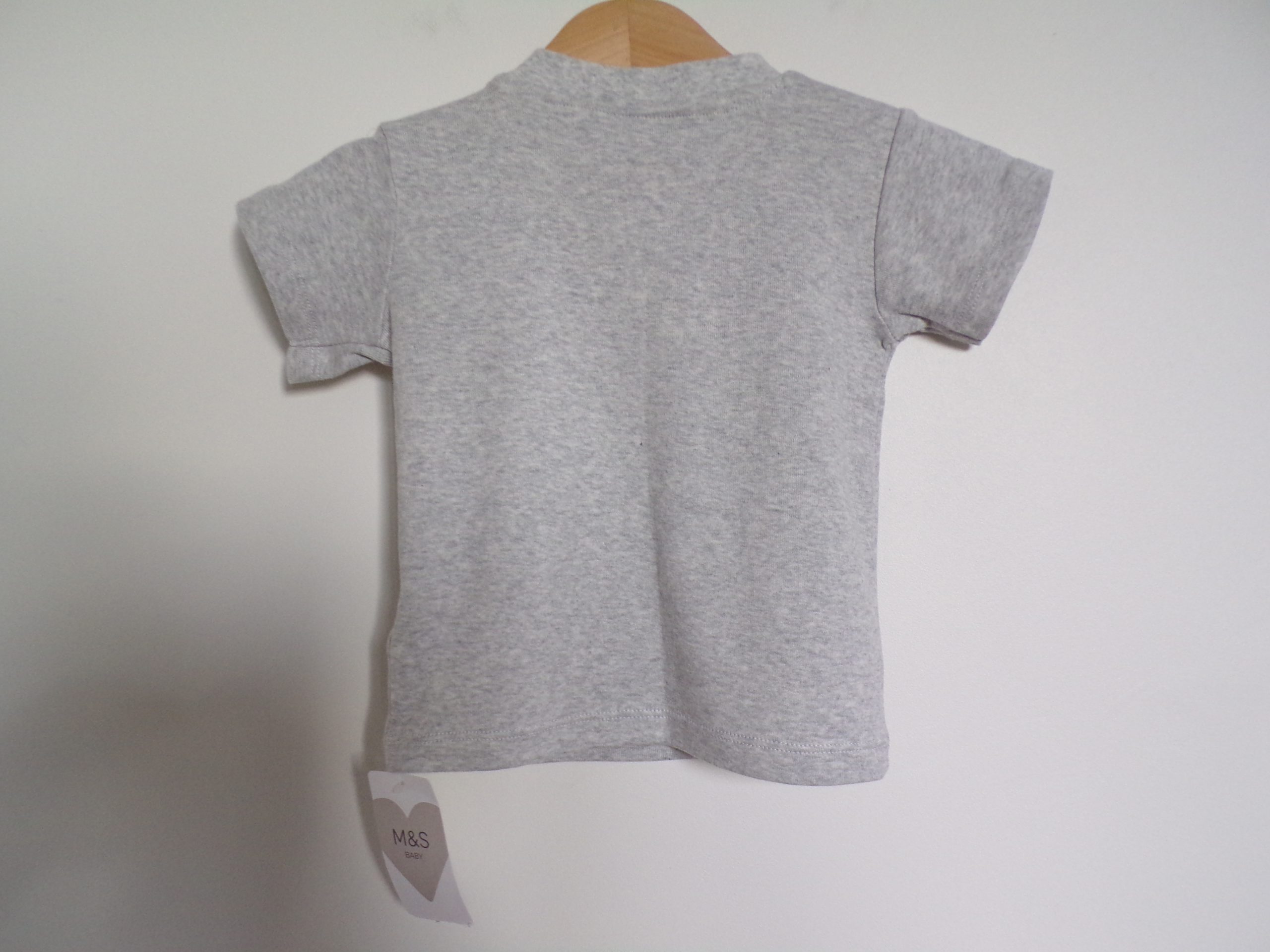 KODAK Digital Still Camera